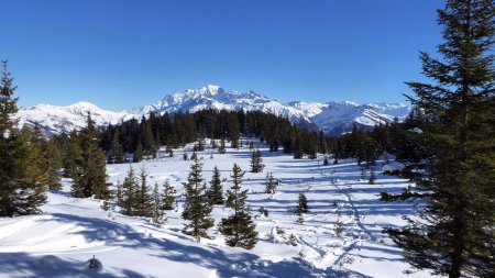 Vue arrière, Mont Blanc