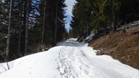 La piste vers Bellieuvre