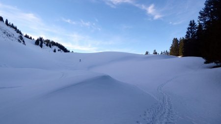 Sous le Haut du Pré