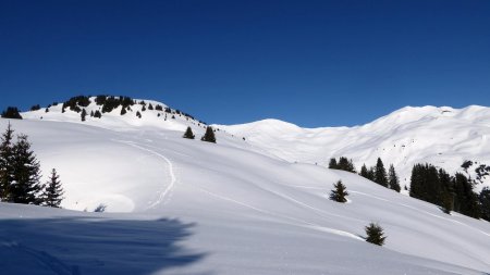 En sortant de la forêt, vue sur Mont du Challier, Dou de Moutiers et Mont Jovet