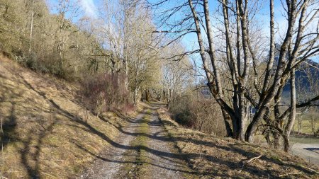 Sur le sentier