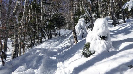 Dans la montée