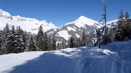 Descente par les pistes...