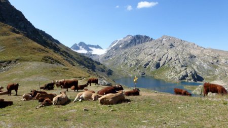 Comité d’accueil au col Nord des lacs (2553m)