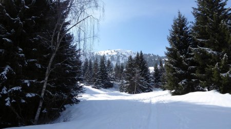 Vers le Dos de Crêt Voland