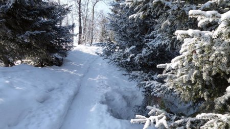 Givre et neige