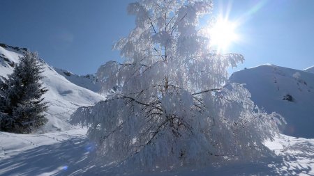 Merveilles de la nature...