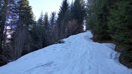 Raquettes aux pieds (1320m)