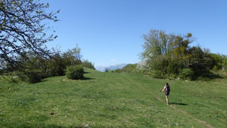 Vers le col du Mont 