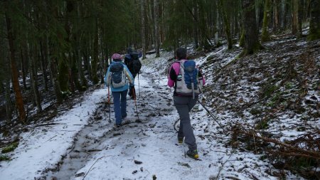 Pas ’top’ comme enneigement mais on est sortis de la ’piste-ruisseau’ !