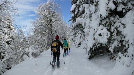 Ça a dû tomber ’dru’ au plus fort de la chute.