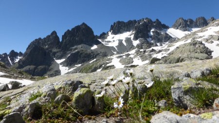 Reflet des Aiguilles de l’Argentière                    