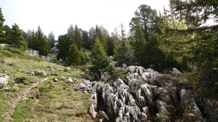 Peu après le Col de Belles Ombres ; on guette d’éventuels chamois.