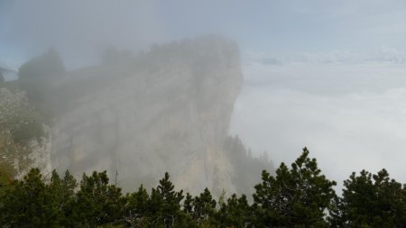 Notre objectif du jour derrière le voile de brume.