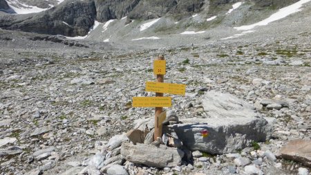 cote 2710m lac Noir à 800m