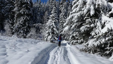 Bois de Goffray