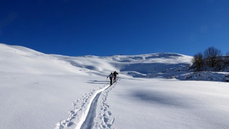 Merci pour la trace 