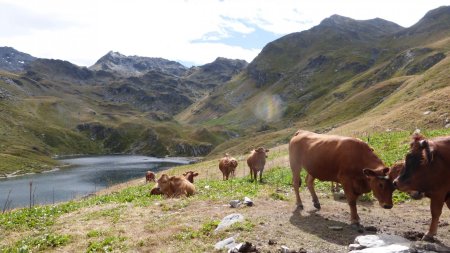 Tarines au lac du Lou