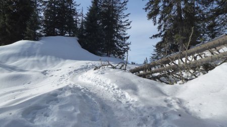 Vers la Croix de Coste