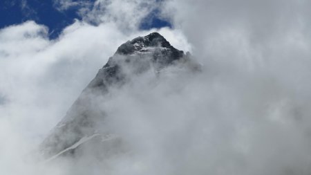 Tu m’as bien vu ... alors je me recache !