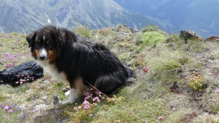 Notre sympathique Bea mérite bien une photo elle aussi !