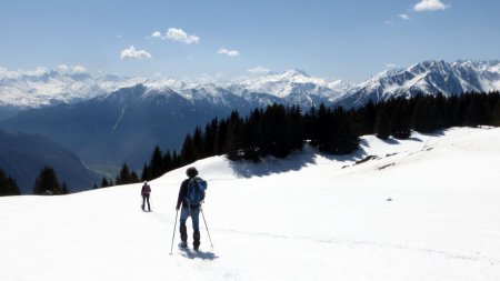 Cool la descente