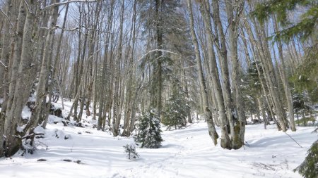 Après le Signal