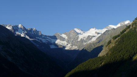 De droite à gauche : Grand Paradis, Crête Gastaldi, Pointe Ceresole, Tête de la Tribulation ... il manque le Grand Saint Pierre à gauche.