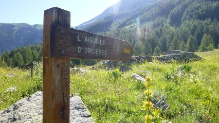 Sentier bien balisé à la peinture jaune