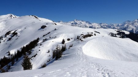 La crête du Bettex (coté Est)