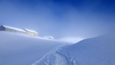 Aux ’’fermes’’ sortie de la brume