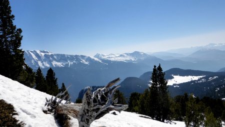 Descente de l’Ours