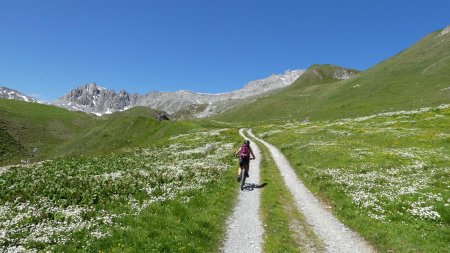 Vers le col des Saulces