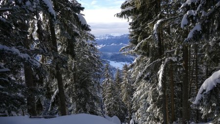 Petite fenêtre sur la Chartreuse.