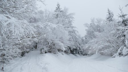 ... dans ce décor tout blanc !