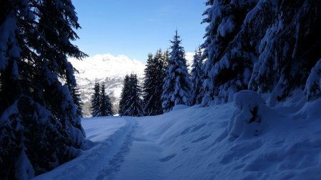 On a retrouvé la trace faite la veille.