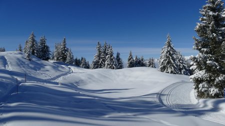 On côtoie un peu les pistes de fond quasi désertes.