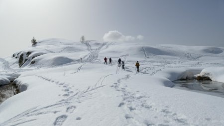 Si ce matin les raquettes n’étaient pas indispensables, elles sont maintenant bien appréciées.