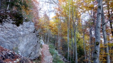 chemin de montée pour le col de l’Alpette