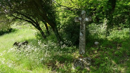 Une des nombreuses croix de Rocles.