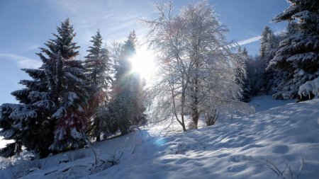 Le soleil décline 15h