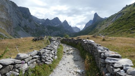 La route du sel