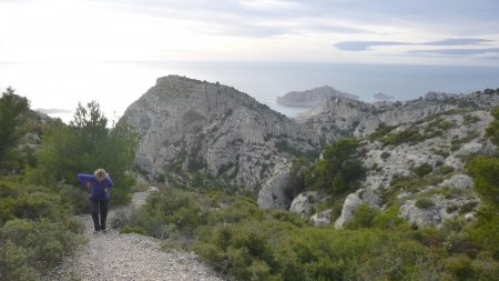 Dans le Vallon Supérieur de la Mounine avec vue arrière sur le Rocher St Michel et l’île Maïre