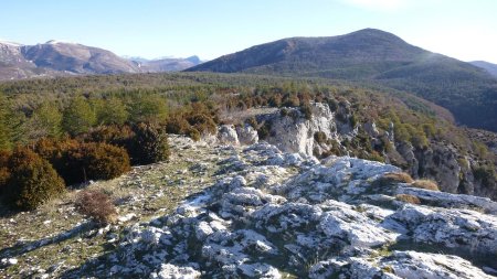 A l’arrière, la Cime de Barbin, toute boisée