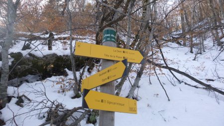 Direction «la Dent» et la Tête de la Plane, premier sommet de la Crête de Barses