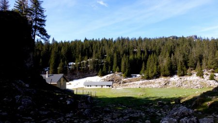 Chalet refuge dans son arène de verdure