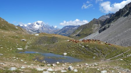 Descente dans la Combe de la Neuva, suite