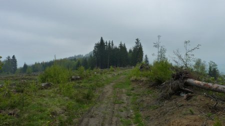 Parcours sur la crête