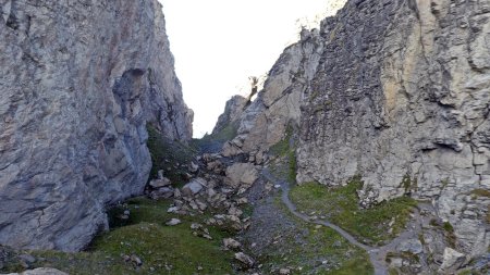 Dans le canyon 