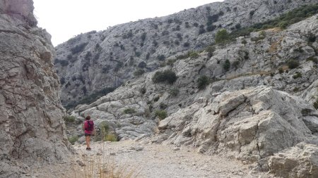 Chemin vers le Puig de Sa Rateta